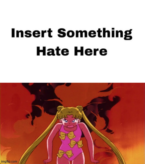 Sailor moon hates who ? Blank Meme Template