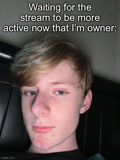 It’s not working :( | Waiting for the stream to be more active now that I’m owner: | made w/ Imgflip meme maker