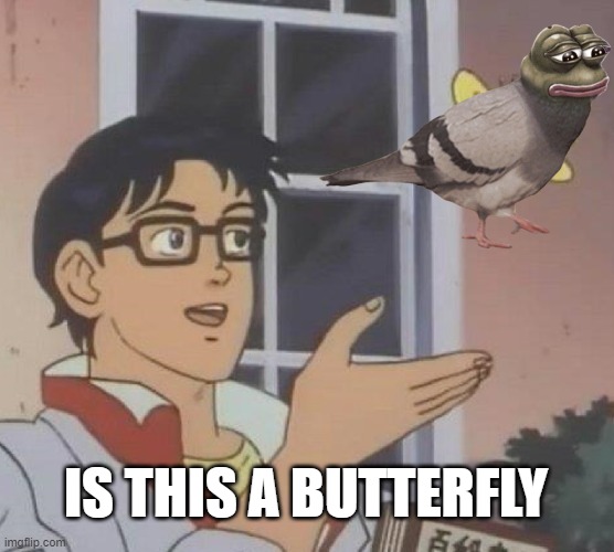 Meme #2 | IS THIS A BUTTERFLY | image tagged in memes,is this a pigeon | made w/ Imgflip meme maker