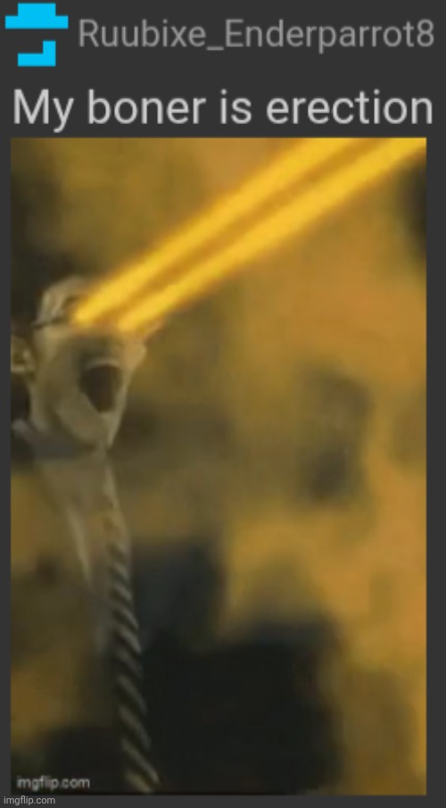 My boner is erection | image tagged in my boner is erection | made w/ Imgflip meme maker