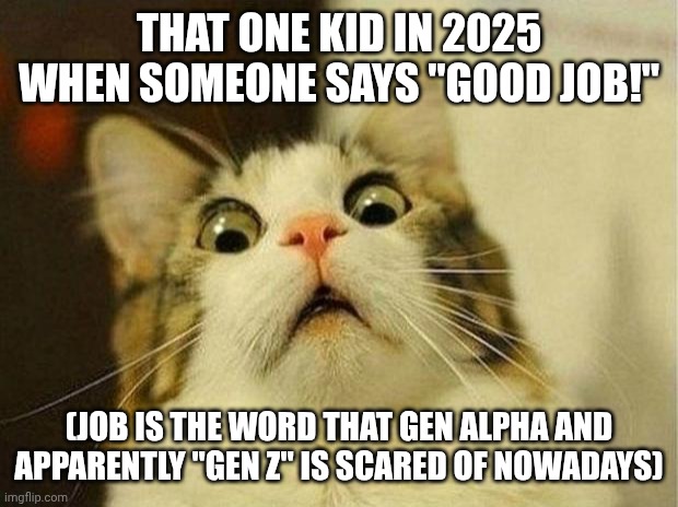 A JOB | THAT ONE KID IN 2025 WHEN SOMEONE SAYS "GOOD JOB!"; (JOB IS THE WORD THAT GEN ALPHA AND APPARENTLY "GEN Z" IS SCARED OF NOWADAYS) | image tagged in memes,scared cat | made w/ Imgflip meme maker