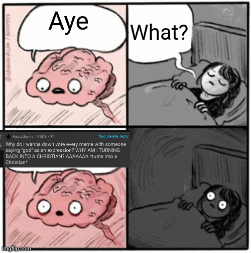 I found out again where the button to add images is so I remade a meme | What? Aye | image tagged in brain before sleep | made w/ Imgflip meme maker