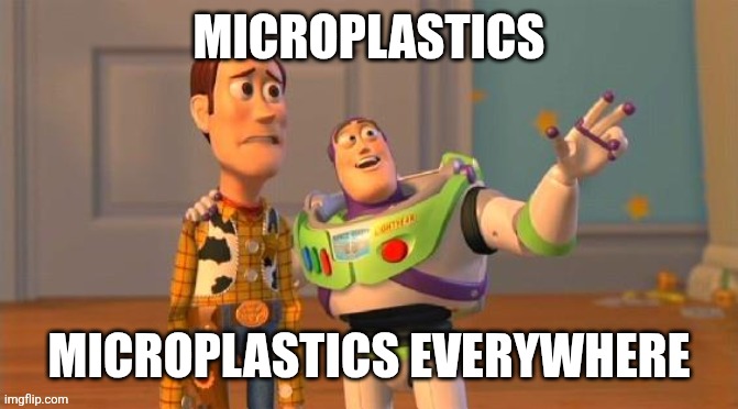 TOYSTORY EVERYWHERE | MICROPLASTICS; MICROPLASTICS EVERYWHERE | image tagged in toystory everywhere | made w/ Imgflip meme maker