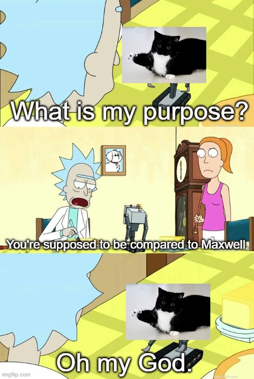 Uni is biologically engineered with the :3 face. | What is my purpose? You're supposed to be compared to Maxwell. Oh my God. | image tagged in what's my purpose - butter robot,maxwell,cats | made w/ Imgflip meme maker