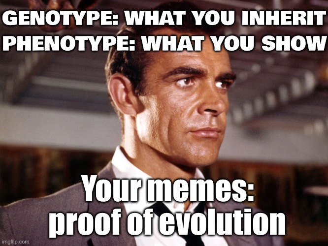 Your memes: proof of evolution | GENOTYPE: WHAT YOU INHERIT; PHENOTYPE: WHAT YOU SHOW; Your memes: proof of evolution | image tagged in phenotypes dont lie,evolution,memes,genetics,human evolution,existentialism | made w/ Imgflip meme maker