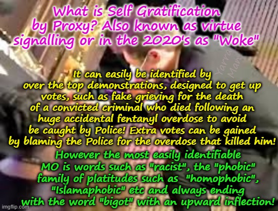 So just what is Self Gratification by Proxy / Woke / Virtue Signalling and how can one identify it? | What is Self Gratification by Proxy? Also known as virtue signalling or in the 2020's as "Woke"; It can easily be identified by over the top demonstrations, designed to get up votes, such as fake grieving for the death of a convicted criminal who died following an huge accidental fentanyl overdose to avoid be caught by Police! Extra votes can be gained by blaming the Police for the overdose that killed him! Yarra Man; However the most easily identifiable MO is words such as "racist", the "phobic" family of platitudes such as  "homophobic", "Islamaphobic" etc and always ending with the word "bigot" with an upward inflection! | image tagged in fake platitudes pinkos,jacob frey tim walz j b pritzker kamala harris,far left labor labour democrats,usa trump | made w/ Imgflip meme maker