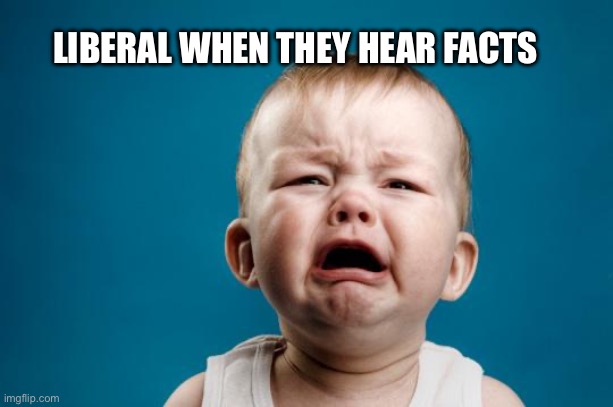 Liberal tears | LIBERAL WHEN THEY HEAR FACTS | image tagged in baby crying,facts over feelings,memes | made w/ Imgflip meme maker