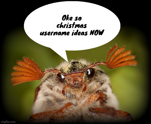 Starseed - our lady peace | Oke so christmas username ideas NOW | image tagged in doodlebug/odd announcement temp | made w/ Imgflip meme maker