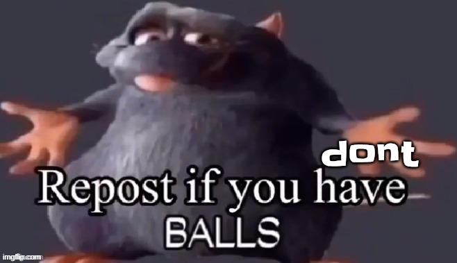 repost if you have balls | dont | image tagged in repost if you have balls | made w/ Imgflip meme maker