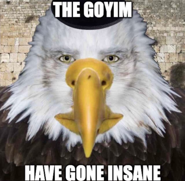 The goyim have gone insane Blank Meme Template