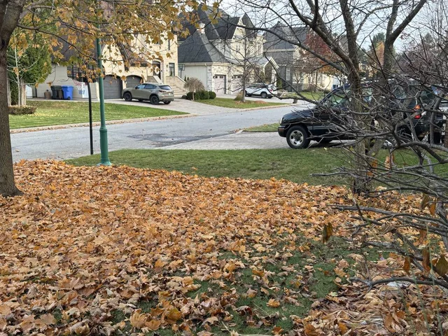 Neighbour does NOT Rake Leaves Blank Meme Template