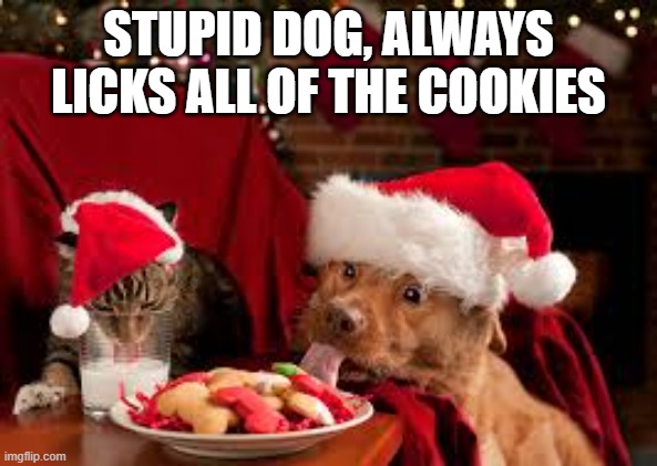 The cat hates the dog licking all of the Christmas cookies. | STUPID DOG, ALWAYS LICKS ALL OF THE COOKIES | image tagged in cat,kittens,humor,funny,dog,christmas | made w/ Imgflip meme maker
