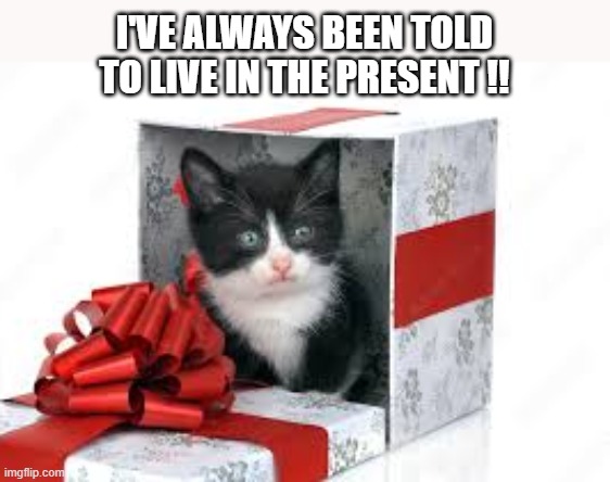 This cat was told to always live in the "present".  --  funny  -- | I'VE ALWAYS BEEN TOLD TO LIVE IN THE PRESENT !! | image tagged in cat,kittens,funny,humor,box,christmas | made w/ Imgflip meme maker