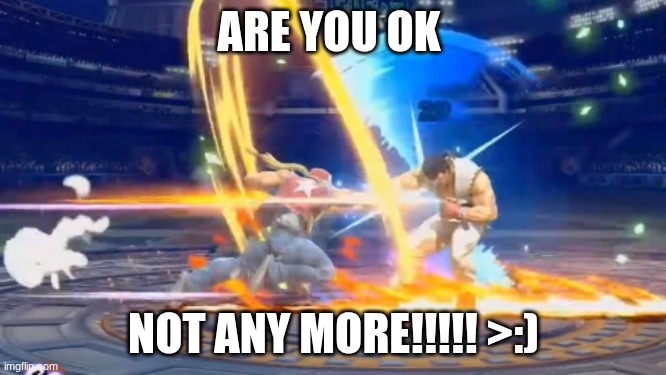 Are you okay? | ARE YOU OK; NOT ANY MORE!!!!! >:) | image tagged in are you okay | made w/ Imgflip meme maker