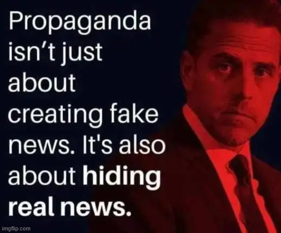 Propaganda | image tagged in propaganda | made w/ Imgflip meme maker