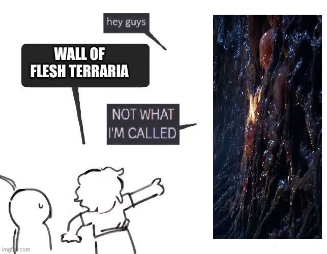 not what im called | WALL OF FLESH TERRARIA | image tagged in not what im called,terraria,stranger things | made w/ Imgflip meme maker