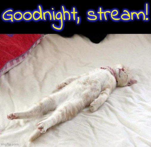 See you tomorrow for more epik memez, chat! | Goodnight, stream! | image tagged in cat sleep | made w/ Imgflip meme maker