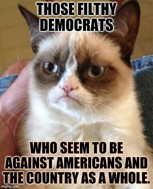 Grumpy Cat | image tagged in memes,filthy,democratic party,against,american people,country | made w/ Imgflip meme maker