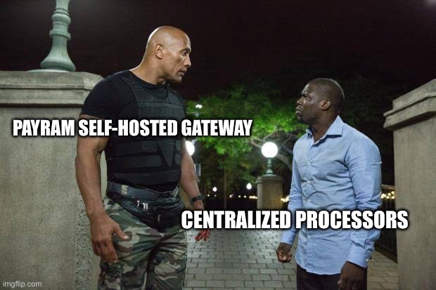 The Rock and Kevin Hart | PAYRAM SELF-HOSTED GATEWAY; CENTRALIZED PROCESSORS | image tagged in the rock and kevin hart | made w/ Imgflip meme maker
