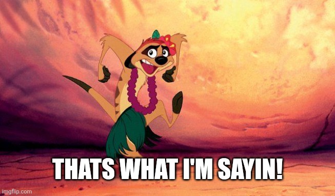 Timon Lion King Hula | THATS WHAT I'M SAYIN! | image tagged in timon lion king hula | made w/ Imgflip meme maker