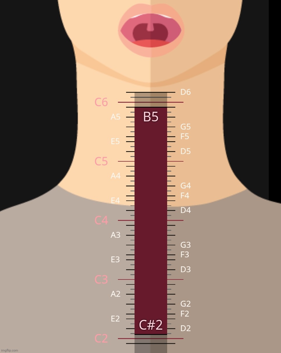 This is what happens when I go beyond my comfortable range, so this is my TRUE range. (Reason I'm good at singing and impression | made w/ Imgflip meme maker