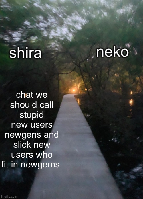 shira n neko shared temp | chat we should call stupid new users newgens and slick new users who fit in newgems | image tagged in shira n neko shared temp | made w/ Imgflip meme maker