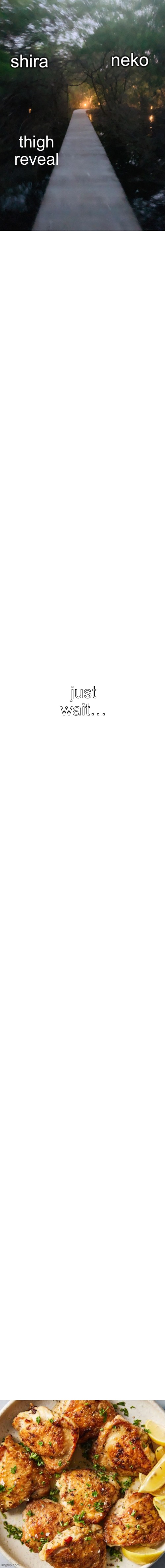 thigh reveal; just wait… | image tagged in shira n neko shared temp,blank white template,caption box | made w/ Imgflip meme maker