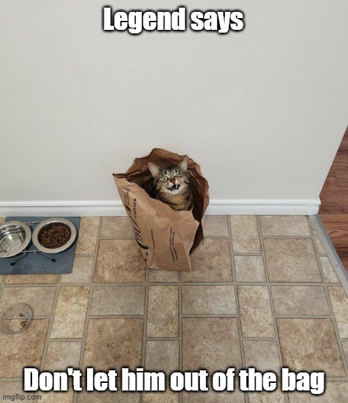 Bagged Cat | Legend says; Don't let him out of the bag | image tagged in cat,cat out the bag,legend,havoc | made w/ Imgflip meme maker