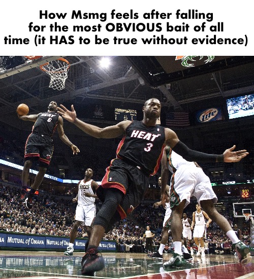 Lebron Dunking | How Msmg feels after falling for the most OBVIOUS bait of all time (it HAS to be true without evidence) | image tagged in lebron dunking | made w/ Imgflip meme maker