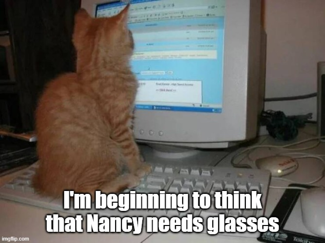 Blurry Furry | I'm beginning to think that Nancy needs glasses | image tagged in office,blurry furry,cat,will work for treats | made w/ Imgflip meme maker