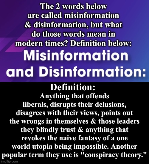 Misinformation And Disinformation | The 2 words below are called misinformation & disinformation, but what do those words mean in modern times? Definition below:; Definition:; Anything that offends liberals, disrupts their delusions, disagrees with their views, points out the wrongs in themselves & those leaders they blindly trust & anything that revokes the naive fantasy of a one world utopia being impossible. Another popular term they use is "conspiracy theory." | image tagged in misinformation,disinformation,libtards,liberal logic,delusion,definition | made w/ Imgflip meme maker