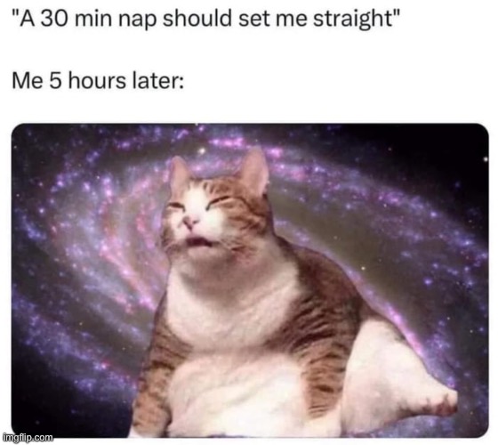 Nap | image tagged in nap,cats,funny memes,relatable memes,relatable,sleepy | made w/ Imgflip meme maker