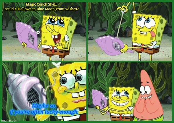 Magic conch | Magic Conch Shell,
could a Halloween Blue Moon grant wishes? Maybe so,
if you're often lucky enough. | image tagged in magic conch | made w/ Imgflip meme maker