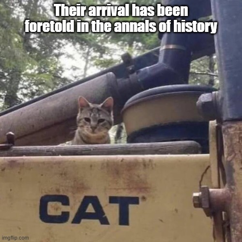 Cat Legend | Their arrival has been foretold in the annals of history | image tagged in cat,legend,omen,labels | made w/ Imgflip meme maker