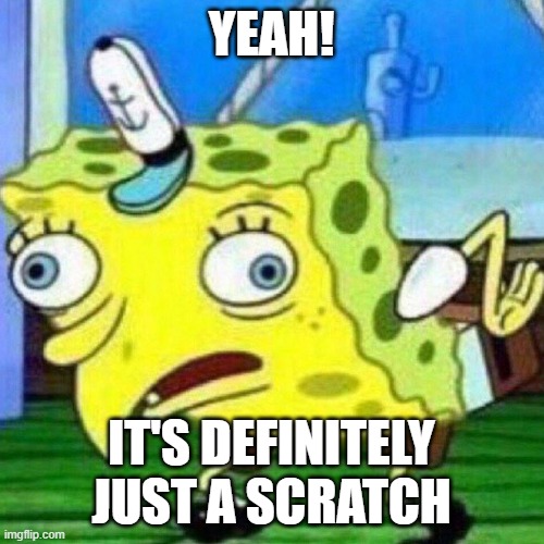 YEAH! IT'S DEFINITELY JUST A SCRATCH | image tagged in triggerpaul | made w/ Imgflip meme maker
