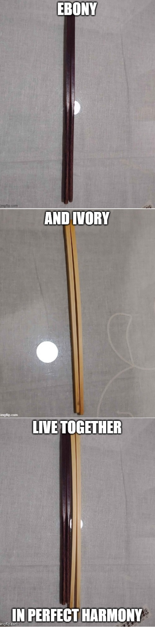 Ebony and Ivory | image tagged in chopsticks,ebony and ivory,ivory,wood | made w/ Imgflip meme maker