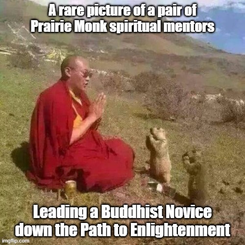 Prairie Monk | A rare picture of a pair of Prairie Monk spiritual mentors; Leading a Buddhist Novice down the Path to Enlightenment | image tagged in spiritual,monk,religion,prayer | made w/ Imgflip meme maker