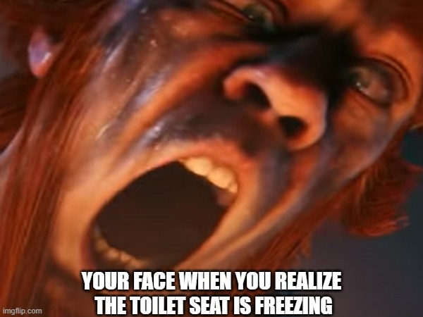 Am I right? | YOUR FACE WHEN YOU REALIZE; THE TOILET SEAT IS FREEZING | image tagged in toilet seat | made w/ Imgflip meme maker