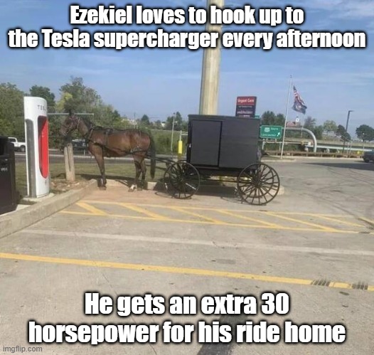 More Horsepower | Ezekiel loves to hook up to the Tesla supercharger every afternoon; He gets an extra 30 horsepower for his ride home | image tagged in tesla,horse,horsepower,vroom vroom,power | made w/ Imgflip meme maker