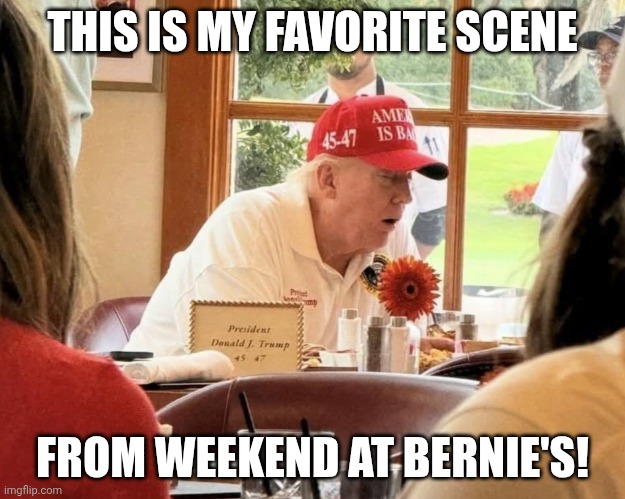 I appreciate the thoughtful placement of the drool cup. | THIS IS MY FAVORITE SCENE; FROM WEEKEND AT BERNIE'S! | image tagged in donald trump drool cup,weekend at bernie's,zombie,the walking dead,maga | made w/ Imgflip meme maker