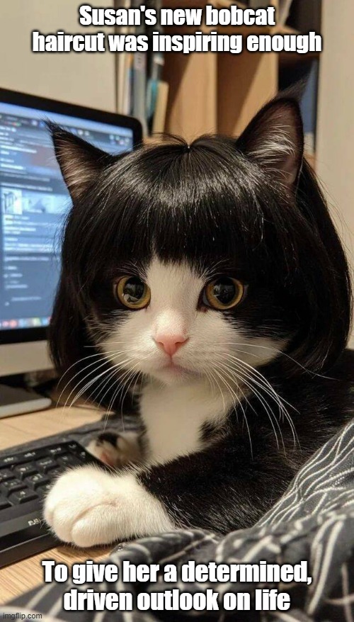 Bobcut | Susan's new bobcat haircut was inspiring enough; To give her a determined, driven outlook on life | image tagged in haircut,wholesome,positive,outlook | made w/ Imgflip meme maker