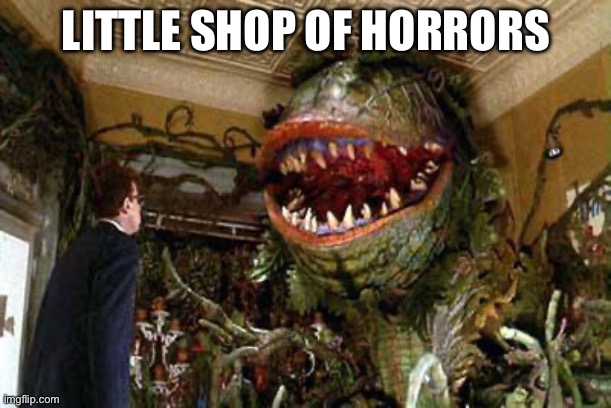 little shop of horrors | LITTLE SHOP OF HORRORS | image tagged in little shop of horrors | made w/ Imgflip meme maker