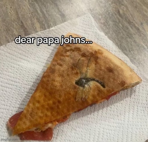 Extra protein | image tagged in pizza | made w/ Imgflip meme maker