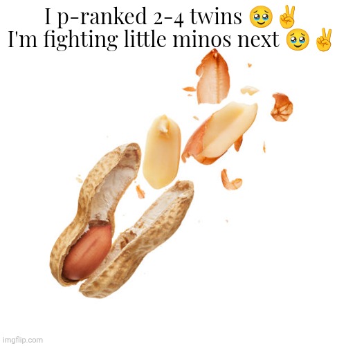 nnn | I p-ranked 2-4 twins 🥹✌️
I'm fighting little minos next 🥹✌️ | image tagged in nnn | made w/ Imgflip meme maker