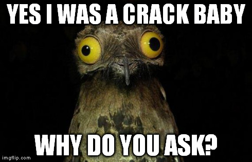 Weird Stuff I Do Potoo Meme | YES I WAS A CRACK BABY WHY DO YOU ASK? | image tagged in memes,weird stuff i do potoo | made w/ Imgflip meme maker