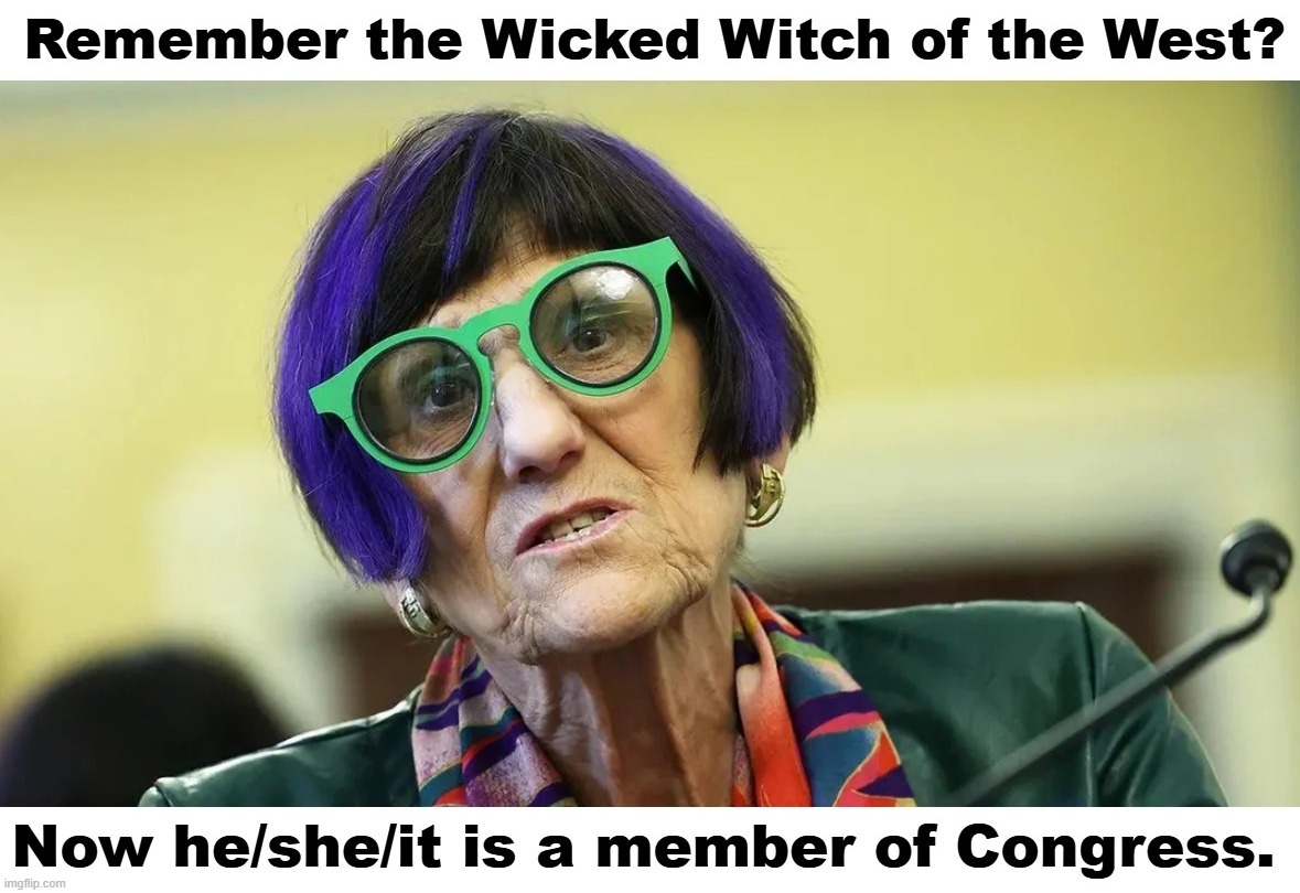 I always wondered what happened to the Wicked Witch of the West from the Wizard of Oz. | image tagged in stupid people be like,wicked witch of the west,stupid liberals,cartoon characters,sjw triggered | made w/ Imgflip meme maker