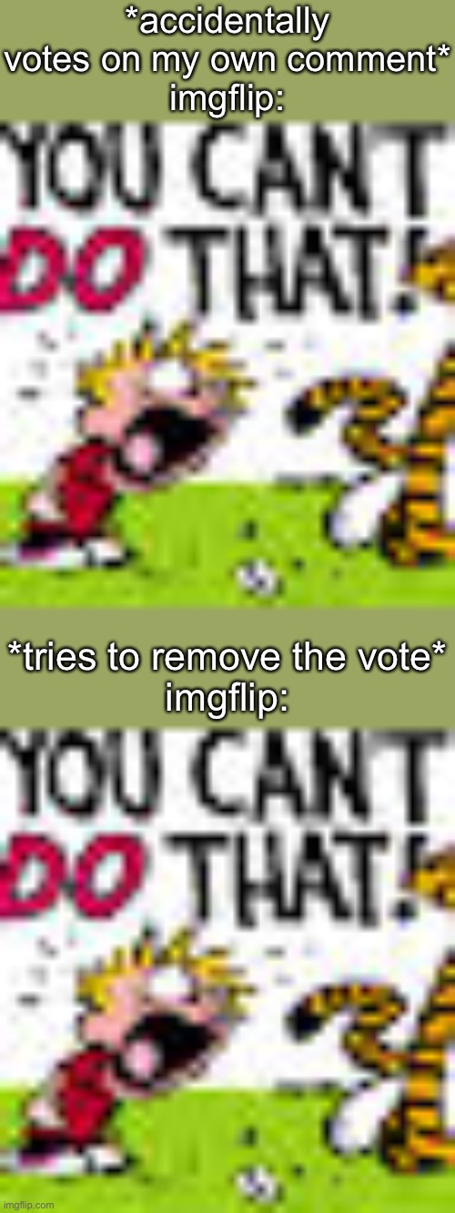 *accidentally votes on my own comment*
imgflip:; *tries to remove the vote*
imgflip: | image tagged in calvin and hobbes you can't do that | made w/ Imgflip meme maker