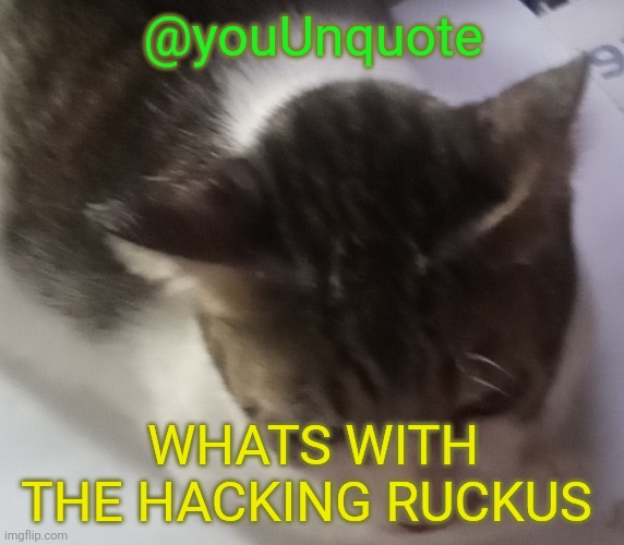 Ming mong | @youUnquote; WHATS WITH THE HACKING RUCKUS | image tagged in ming mong | made w/ Imgflip meme maker