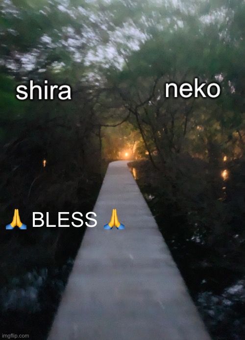 guess the video game i got | 🙏 BLESS 🙏 | image tagged in shira n neko shared temp | made w/ Imgflip meme maker