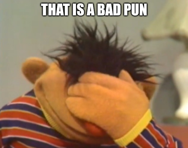 Ernie doh | THAT IS A BAD PUN | image tagged in ernie doh | made w/ Imgflip meme maker